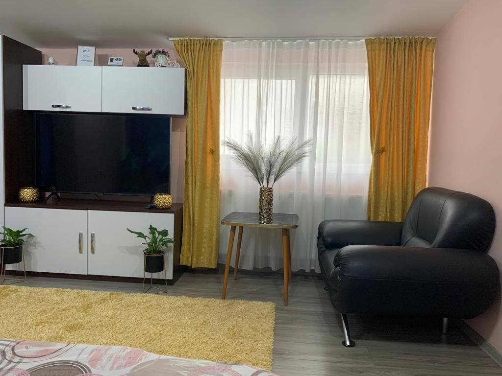 דירות סיביו Garsoniera Madalina מראה חיצוני תמונה