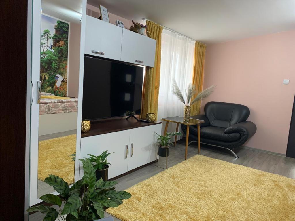 דירות סיביו Garsoniera Madalina מראה חיצוני תמונה