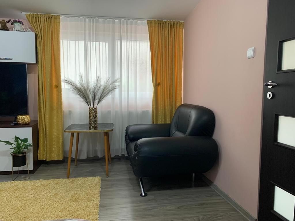 דירות סיביו Garsoniera Madalina מראה חיצוני תמונה